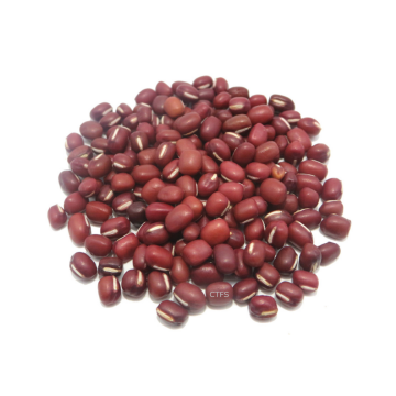 Bean - Red Bean Liang Pin (Min. 1kg)