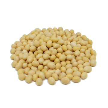 Bean - Soya Bean Liang Pin (Min. 1kg)