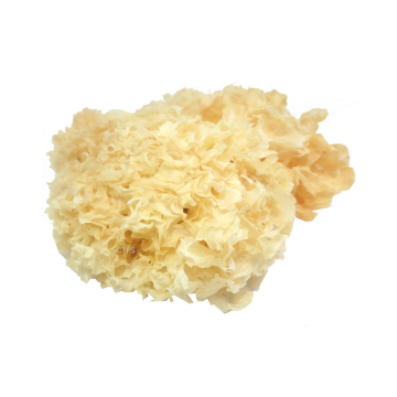 Dried - Fungus White Liang Pin (Min. 100g)